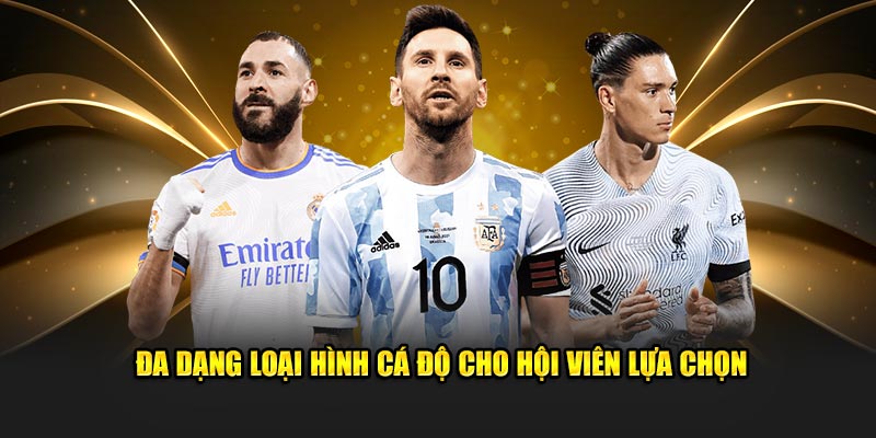 Đa dạng loại hình cá độ cho hội viên lựa chọn