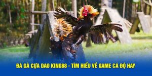 Đá Gà Cựa Dao King88