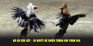 Đá gà cựa sắt bí quyết để chiến thắng