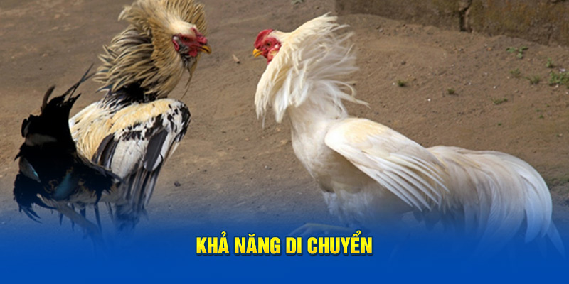 Khả năng di chuyển