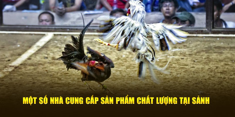 Một số nhà cung cấp sản phẩm chất lượng tại sảnh