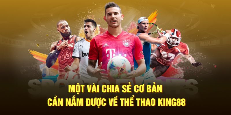 Một vài chia sẻ cơ bản cần nắm được về thể thao King88