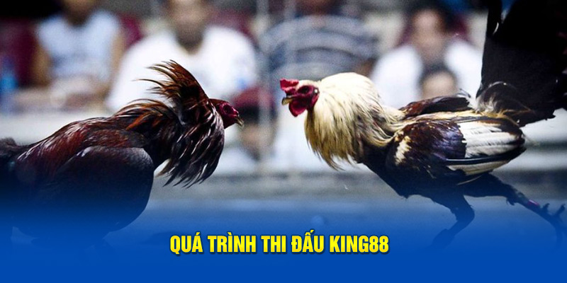 Quá trình thi đấu King88